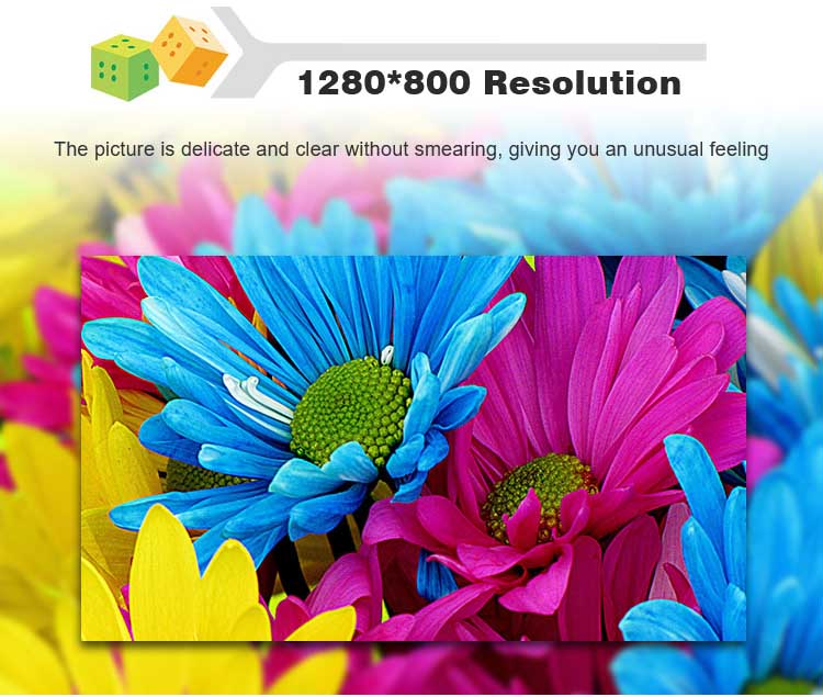 , شقة حقيقية 10.1 بوصة IPS LCD PCAP شاشة تعمل باللمس 1280x800 بكسل